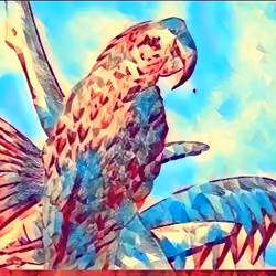 Parrot 2