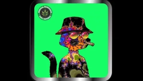 Item #38106924255229388326176120348145397694890164304354486214296843297182929912808 Media