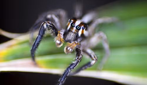 Item #71581581597643149467168648258107612895954652737946138187853336698726794657793 Media