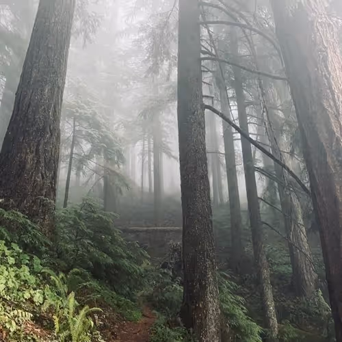 2005862319158051831365229387864138466486092287762213337058068759311445655553