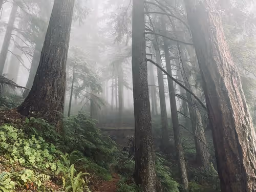 Item #2005862319158051831365229387864138466486092287762213337058068759311445655553 Media