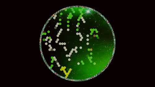 Item #76637110080447197263465758874977283263923892565832943083047885863941891424257 Media