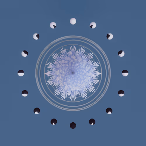 Item #97407185853017647187245508317240666569524310893588429400701764789819181891684 Media