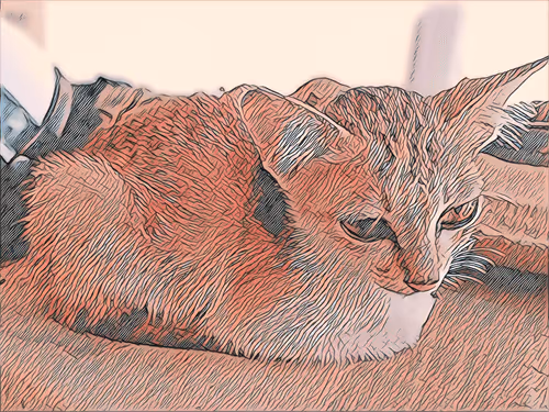 Item #74122138759525378795667626270866148487737655975912799548892275964776101707777 Media