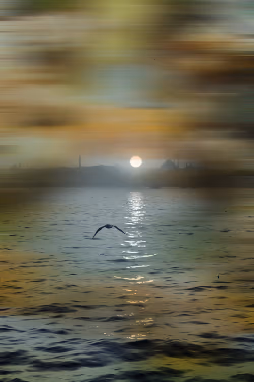 Item #94594472800492689210511791646247881716921421318605375343824232343966664622081 Media