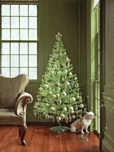 Item #15081463501546268006596121588316872326209313817998412847676537162207898632193 Media