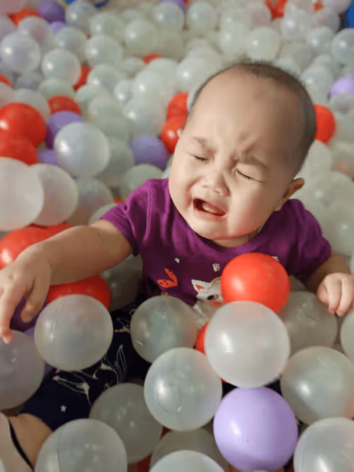 Item #51198950727353000400182026279026974017434036809871363174420400683250746392577 Media