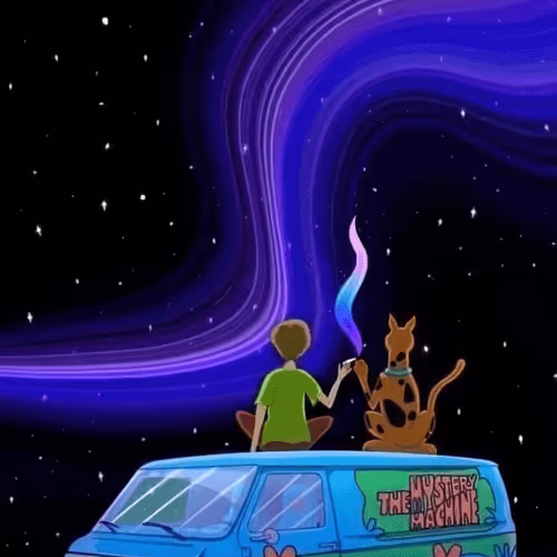 Untitled Collection #252421235