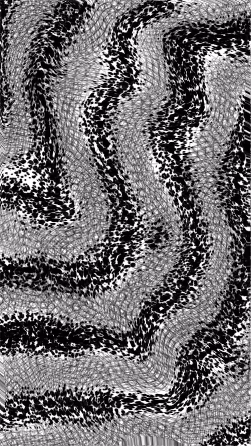 Item #55896841330959151368254334423438777352416126297773369925501189998178344108033 Media