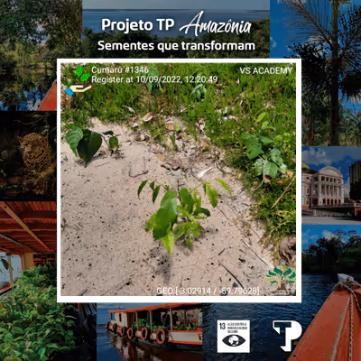 Item #8500196597889277390194123329501889087166328879864934763448349004036220911617 Media