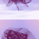 19509088141201209400809236390265494208543189388559641801765159202332273016833