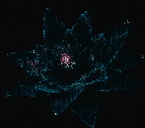 Item #73730562326191716881461757681999681561108071941178858700687942201178696187905 Media