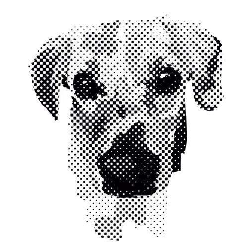 Item #71782796630413224696677813055358199081280333988450513299593911371366177701889 Media