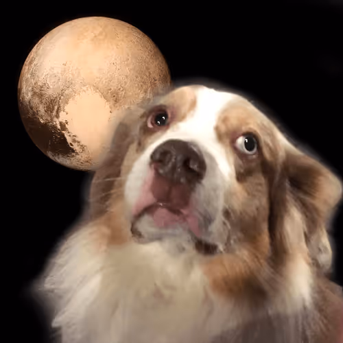 Item #63085957130216624636248423642942812488850991077571032423490426892355522002945 Media