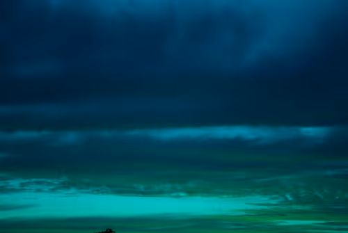 Item #102771070306004819985898819999052787652815039064996374663455446000502596173825 Media