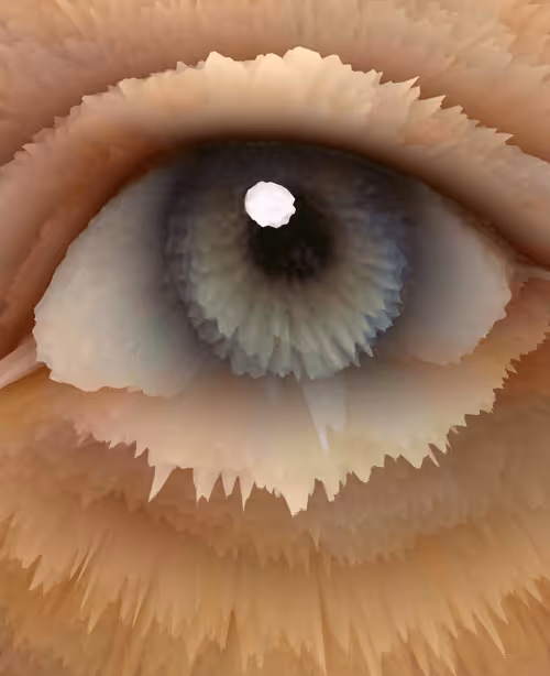 Item #47993365230904546224908061961898398429308184507692648287352000322319463481345 Media