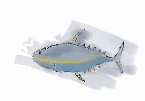 Item #24315468118483390027328388524343465713366074211241639194158542700634118815749 Media