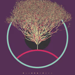 74168867016011539093366687608765447348507224284888477074887989827628829769729