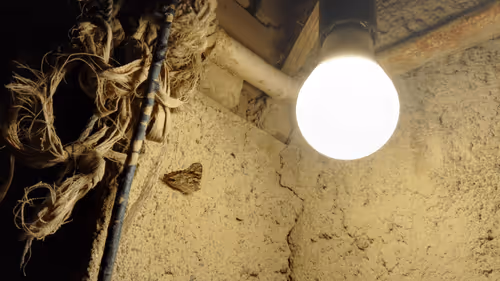 Item #71783453458607510737296471841867983382980629409983277105935523595816714371073 Media