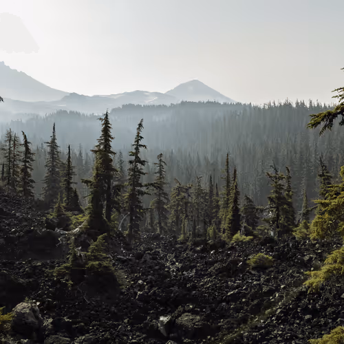 2005862319158051831365229387864138466486092287762213337058068714231468916737