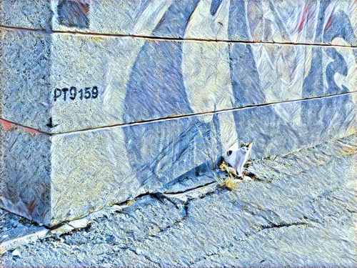 Item #46397680814911453718365897270123246439130732684861044295736256020940039651329 Media