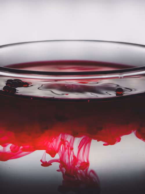 Item #39391070493116977564899321791408150162796374052111424108014134441438569562113 Media