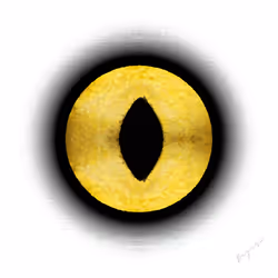 92399945145751583699573879840616694725353892122176407637502760249231205728257
