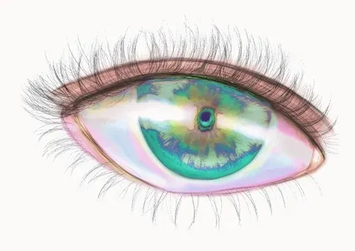 Item #42950694591796666568266939449637019646211598636303907727097118077100639649793 Media