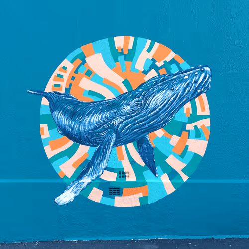 1674153028995157440707597551279269001268020339774202431826717073252244520961