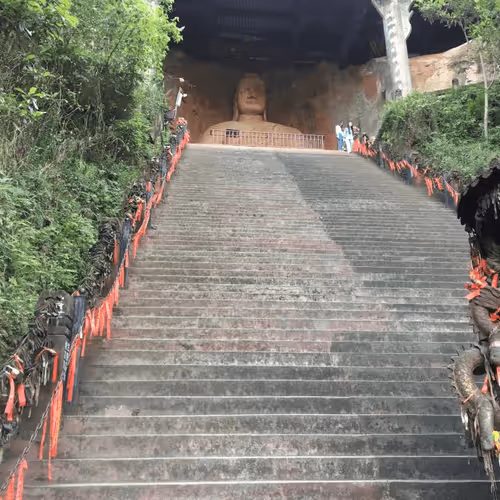 Untitled Collection #84393133