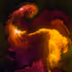 52087539950854178646088272389027861485925050461537543517158482953471774425188