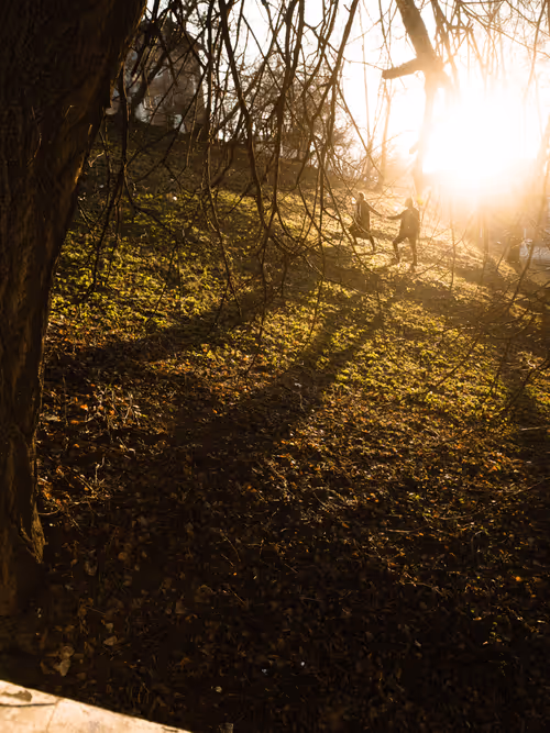 Item #88366683521027868072539568157798482668280987352295721914948372177726031790081 Media