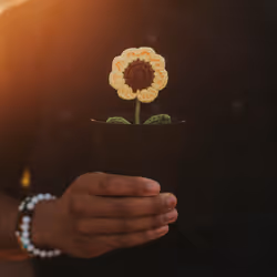 24254534113002831667604478980442589605007155413265616638335107402530549661697