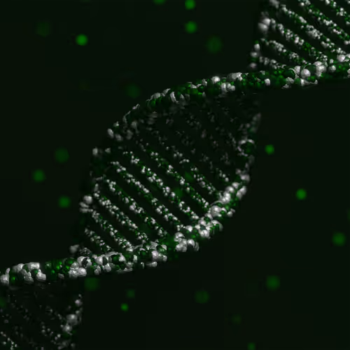 113395677080381858456097698969021148731173449515476865940740430443261177364481