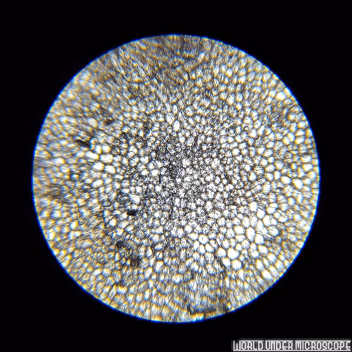 Item #50009736146905251567227076692856927428894740490289753136015986066749405528065 Media