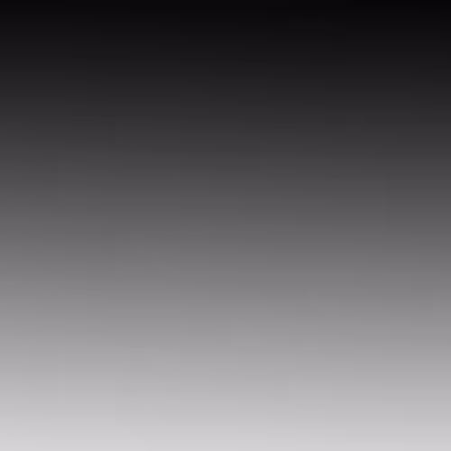 Untitled Collection #259357359