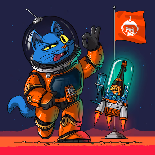 Anniversary Cat