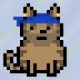 62467536445418901683526312390752010330375978015730577464472940378745848463361