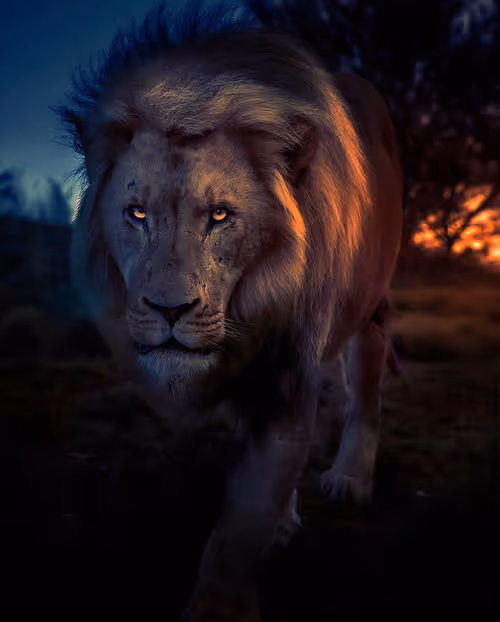 Item #113521178305738834012148518391550550346987699669126125358931063150209262420018 Media