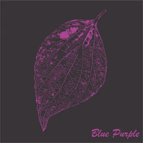 40167138637940562108431742001123872206105593199433866487640627806580487749633