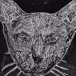 Whiskey Cat