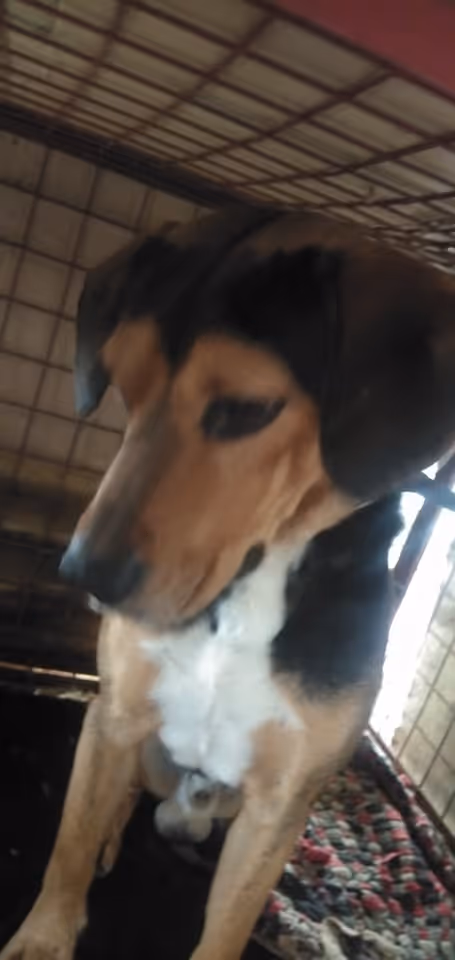 Item #23439807421783349604606688817165201350165750151979961366033252235899316469761 Media