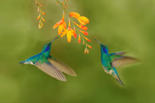 Item #25621925064279012681246301446131385931262547461970292834419122505866742333441 Media