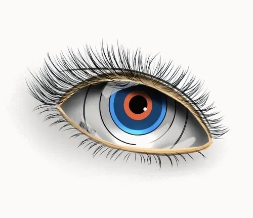 Item #42950694591796666568266939449637019646211598636303907727097118137573779177473 Media