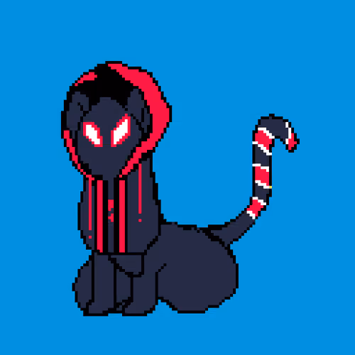 catty spider