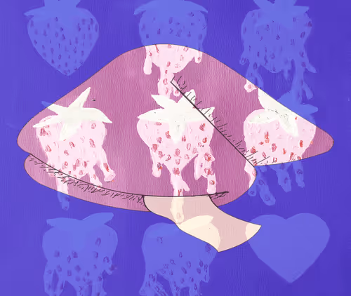 Item #56177743258238353915692039261457950691196406802314425732675602427745423851530 Media