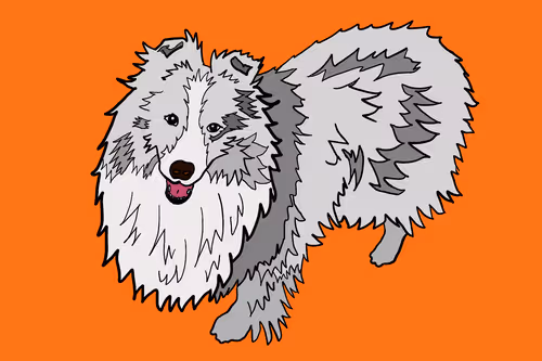 OurDogs #1