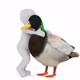 50650663643595833070264674383192269502910726590296354100642165484243247955969
