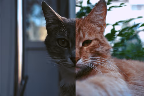 Item #83814281494982873489093393686870877753435350344037690071012306429801566044161 Media