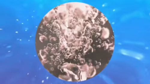 Item #91432175830589570902409758545023230591127682277750966987652460574322217451521 Media